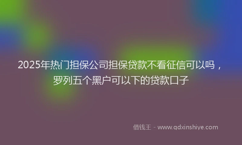 2025年热门担保公司担保贷款不看征信可以吗，罗列五个黑户可以下的贷款口子