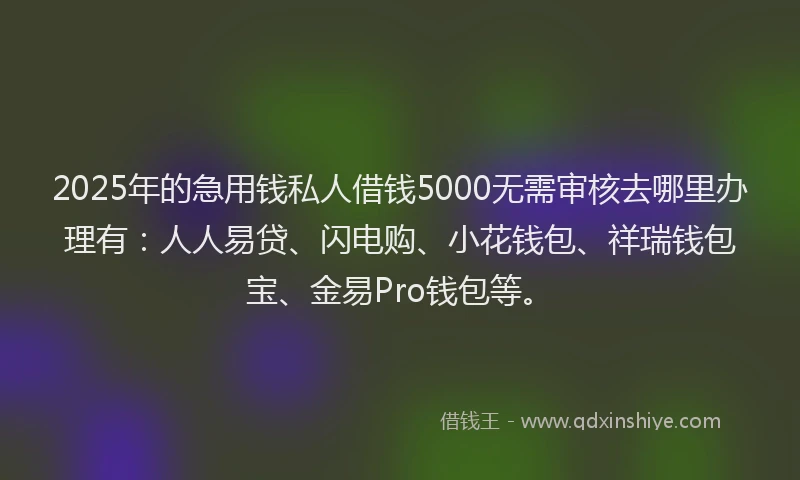 2025年的急用钱私人借钱5000无需审核去哪里办理有：人人易贷、闪电购、小花钱包、祥瑞钱包宝、金易Pro钱包等。