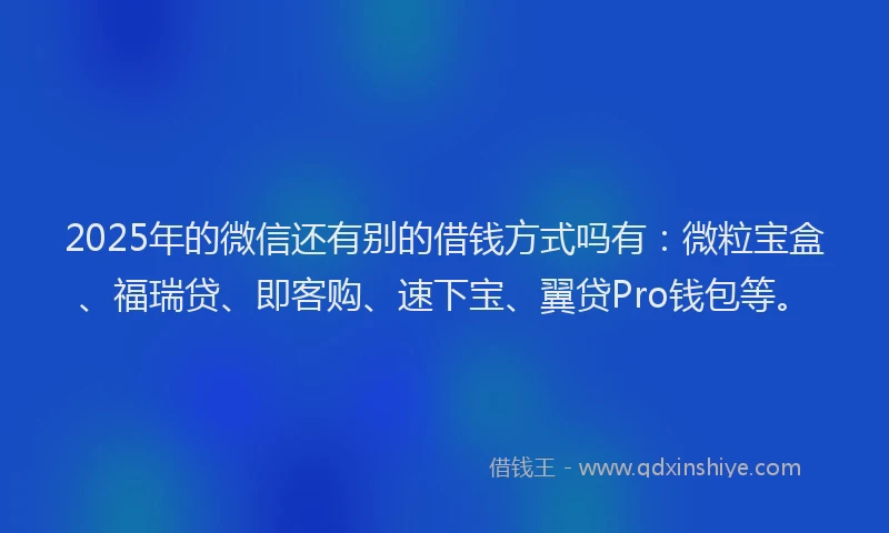 2025年的微信还有别的借钱方式吗有：微粒宝盒、福瑞贷、即客购、速下宝、翼贷Pro钱包等。