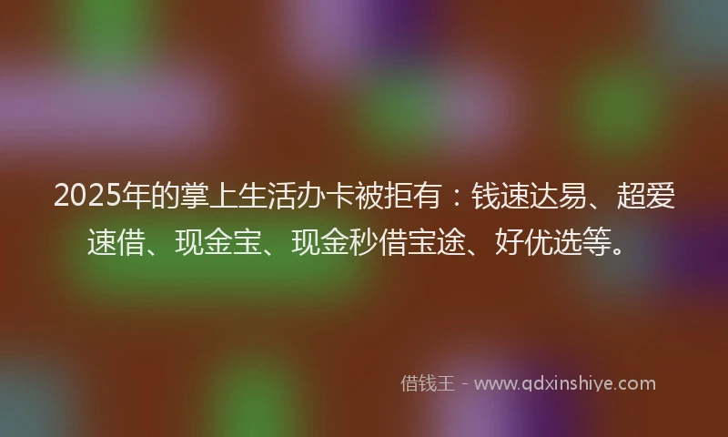 2025年的掌上生活办卡被拒有：钱速达易、超爱速借、现金宝、现金秒借宝途、好优选等。