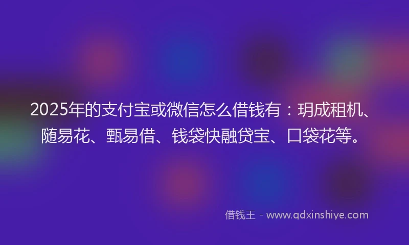 2025年的支付宝或微信怎么借钱有：玥成租机、随易花、甄易借、钱袋快融贷宝、口袋花等。