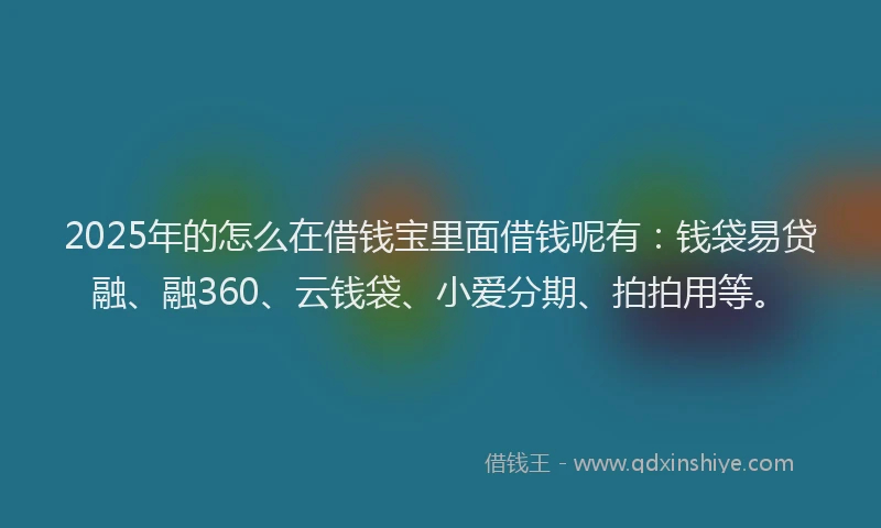 2025年的怎么在借钱宝里面借钱呢有：钱袋易贷融、融360、云钱袋、小爱分期、拍拍用等。