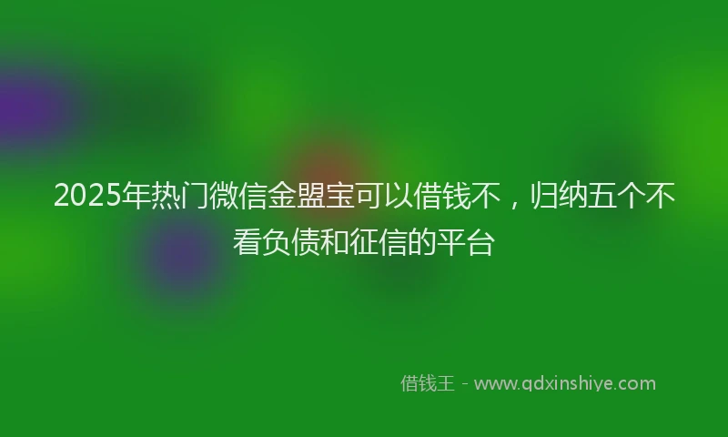 2025年热门微信金盟宝可以借钱不，归纳五个不看负债和征信的平台