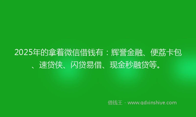 2025年的拿着微信借钱有：辉誉金融、便荔卡包、速贷侠、闪贷易借、现金秒融贷等。
