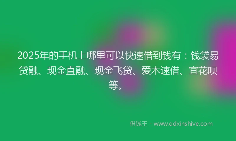 2025年的手机上哪里可以快速借到钱有：钱袋易贷融、现金直融、现金飞贷、爱木速借、宜花呗等。