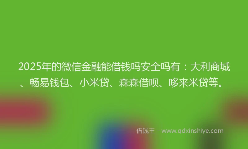 2025年的微信金融能借钱吗安全吗有：大利商城、畅易钱包、小米贷、森森借呗、哆来米贷等。