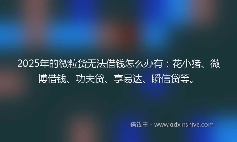 2025年的微粒货无法借钱怎么办有：花小猪、微博借钱、功夫贷、享易达、瞬信贷等。