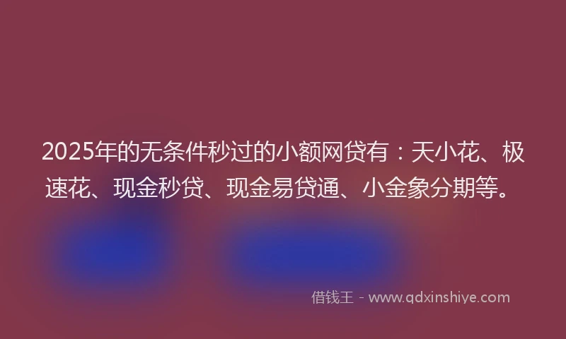 2025年的无条件秒过的小额网贷有：天小花、极速花、现金秒贷、现金易贷通、小金象分期等。