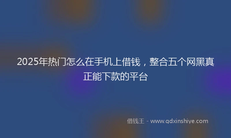 2025年热门怎么在手机上借钱，整合五个网黑真正能下款的平台