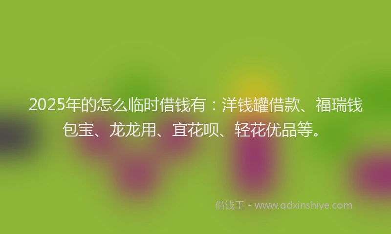 2025年的怎么临时借钱有：洋钱罐借款、福瑞钱包宝、龙龙用、宜花呗、轻花优品等。