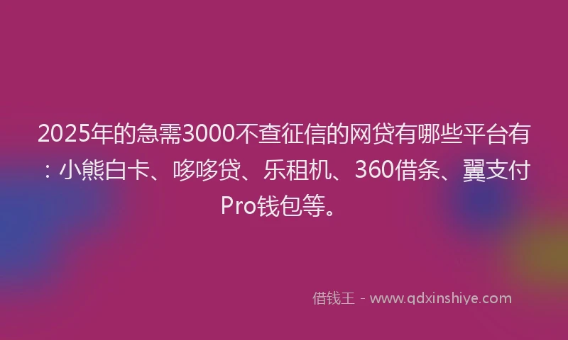 2025年的急需3000不查征信的网贷有哪些平台有：小熊白卡、哆哆贷、乐租机、360借条、翼支付Pro钱包等。