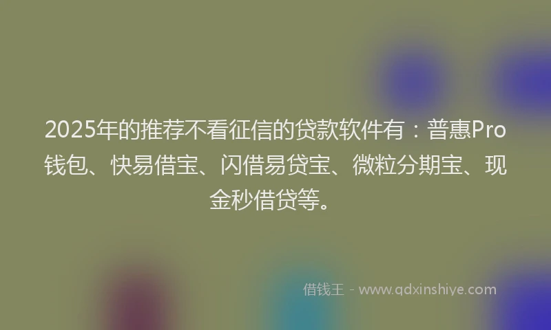 2025年的推荐不看征信的贷款软件有：普惠Pro钱包、快易借宝、闪借易贷宝、微粒分期宝、现金秒借贷等。