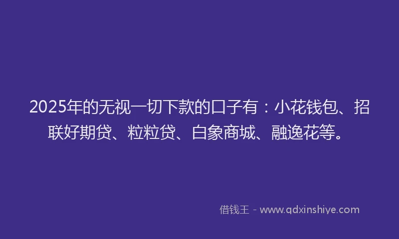 2025年的无视一切下款的口子有：小花钱包、招联好期贷、粒粒贷、白象商城、融逸花等。