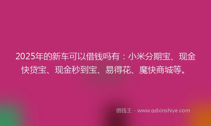 2025年的新车可以借钱吗有：小米分期宝、现金快贷宝、现金秒到宝、易得花、魔快商城等。