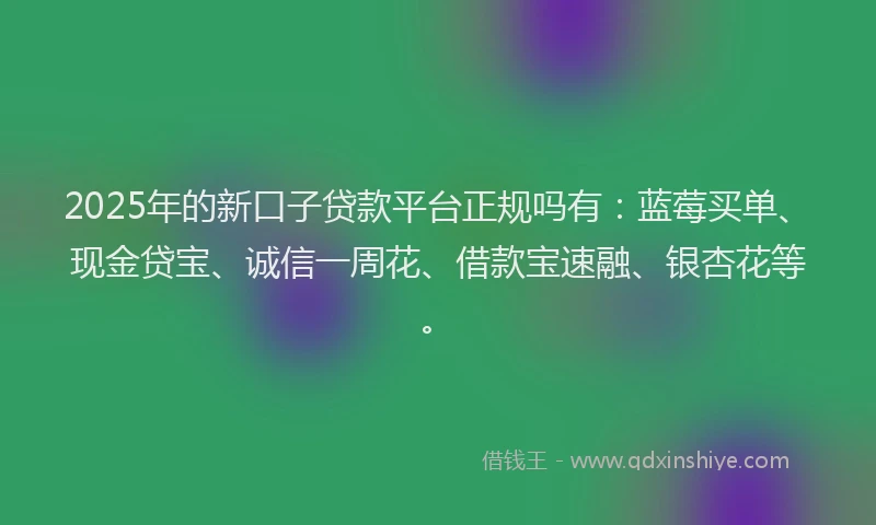 2025年的新口子贷款平台正规吗有：蓝莓买单、现金贷宝、诚信一周花、借款宝速融、银杏花等。