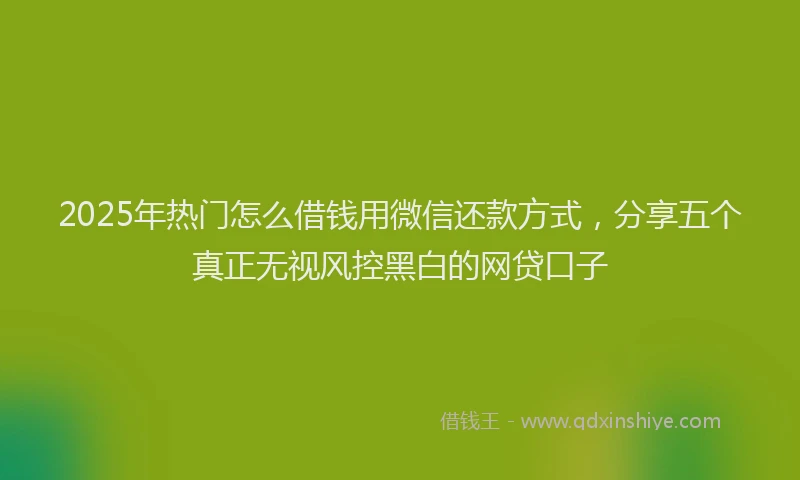 2025年热门怎么借钱用微信还款方式，分享五个真正无视风控黑白的网贷口子