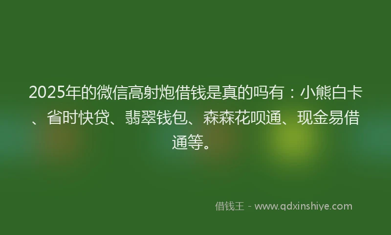 2025年的微信高射炮借钱是真的吗有：小熊白卡、省时快贷、翡翠钱包、森森花呗通、现金易借通等。