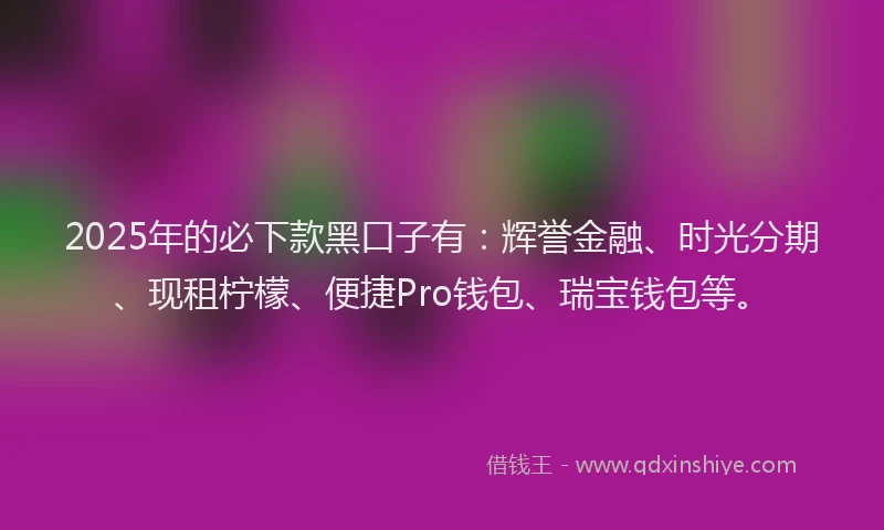 2025年的必下款黑口子有：辉誉金融、时光分期、现租柠檬、便捷Pro钱包、瑞宝钱包等。