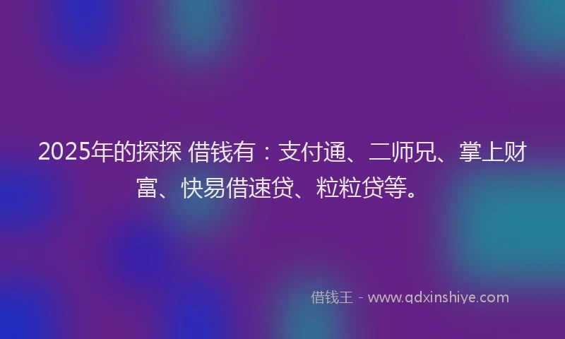 2025年的探探 借钱有：支付通、二师兄、掌上财富、快易借速贷、粒粒贷等。