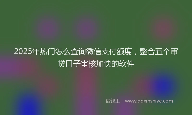 2025年热门怎么查询微信支付额度，整合五个审贷口子审核加快的软件