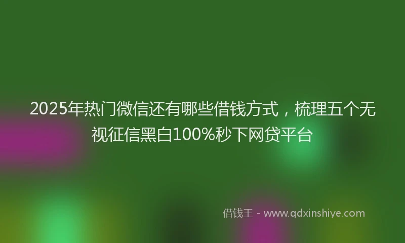 2025年热门微信还有哪些借钱方式，梳理五个无视征信黑白100%秒下网贷平台
