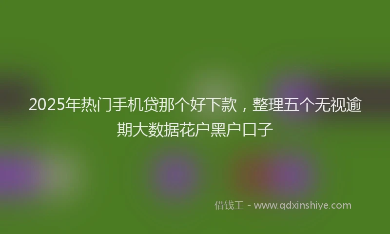2025年热门手机贷那个好下款，整理五个无视逾期大数据花户黑户口子