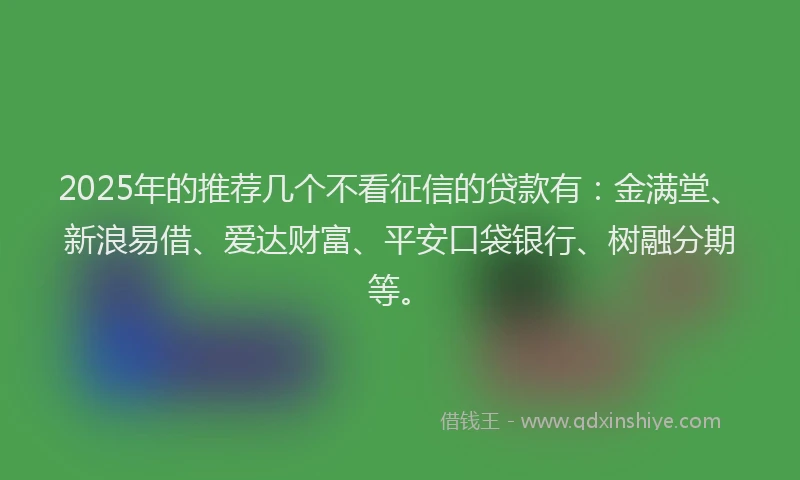 2025年的推荐几个不看征信的贷款有：金满堂、新浪易借、爱达财富、平安口袋银行、树融分期等。