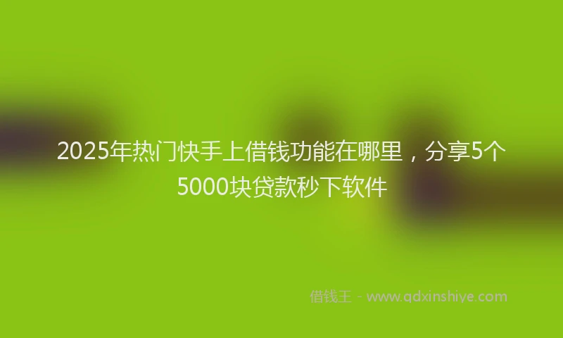2025年热门快手上借钱功能在哪里，分享5个5000块贷款秒下软件