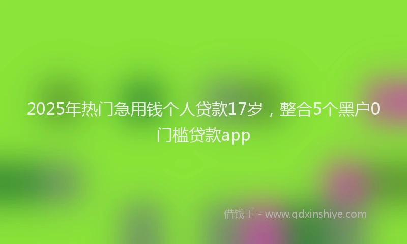 2025年热门急用钱个人贷款17岁，整合5个黑户0门槛贷款app