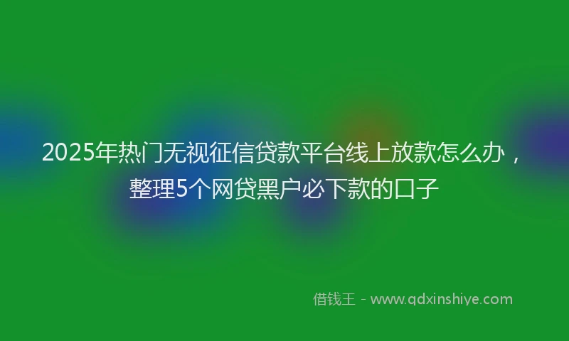 2025年热门无视征信贷款平台线上放款怎么办，整理5个网贷黑户必下款的口子
