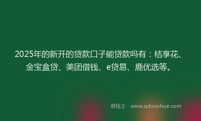 2025年的新开的贷款口子能贷款吗有：桔享花、金宝盒贷、美团借钱、e贷易、鹿优选等。