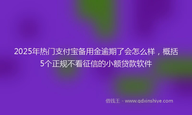 2025年热门支付宝备用金逾期了会怎么样，概括5个正规不看征信的小额贷款软件
