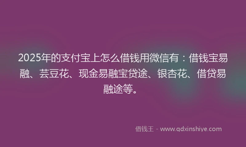 2025年的支付宝上怎么借钱用微信有：借钱宝易融、芸豆花、现金易融宝贷途、银杏花、借贷易融途等。