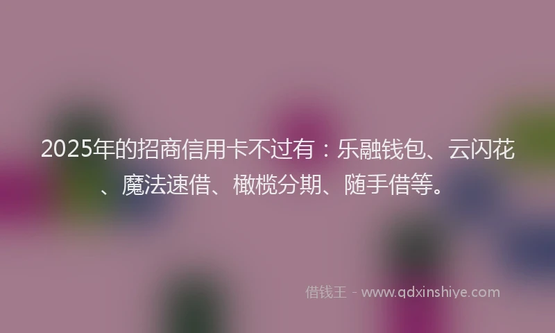 2025年的招商信用卡不过有：乐融钱包、云闪花、魔法速借、橄榄分期、随手借等。