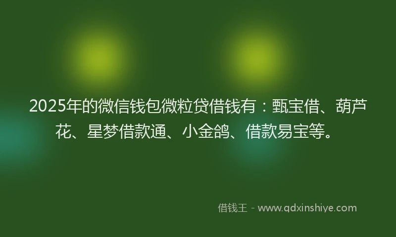 2025年的微信钱包微粒贷借钱有：甄宝借、葫芦花、星梦借款通、小金鸽、借款易宝等。