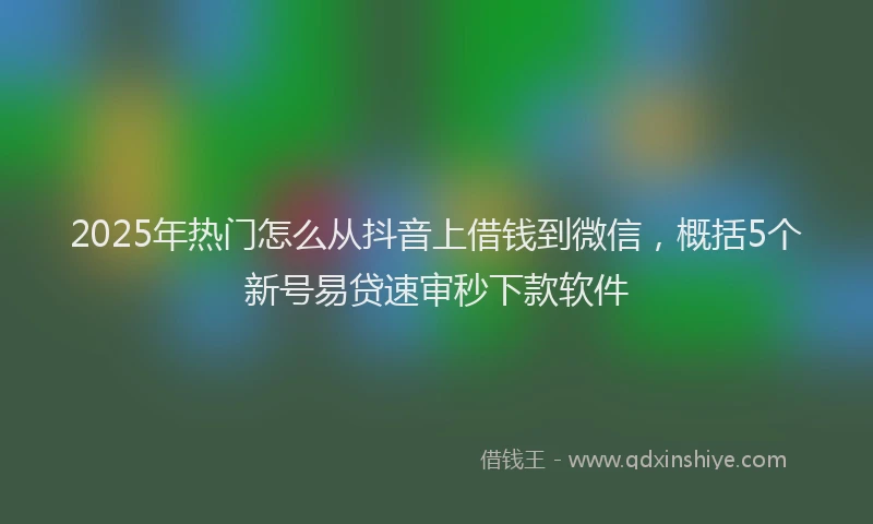 2025年热门怎么从抖音上借钱到微信，概括5个新号易贷速审秒下款软件