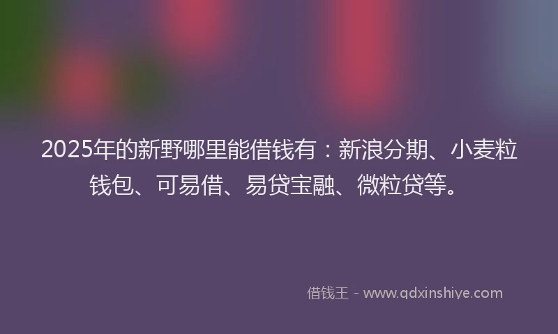 2025年的新野哪里能借钱有：新浪分期、小麦粒钱包、可易借、易贷宝融、微粒贷等。