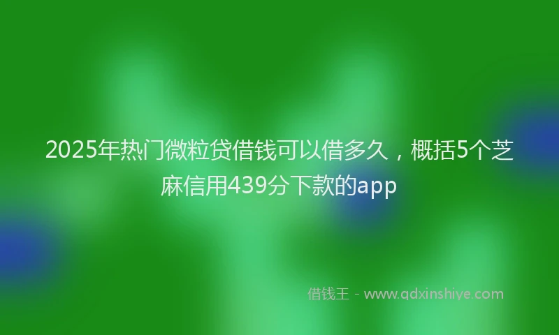 2025年热门微粒贷借钱可以借多久，概括5个芝麻信用439分下款的app