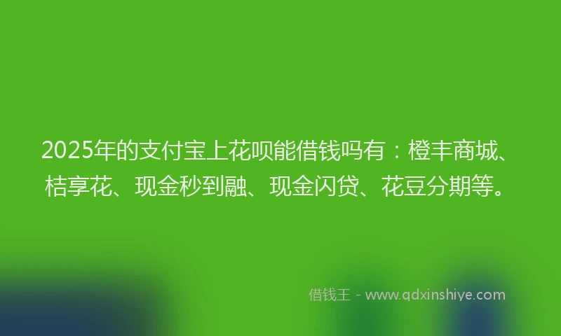 2025年的支付宝上花呗能借钱吗有：橙丰商城、桔享花、现金秒到融、现金闪贷、花豆分期等。
