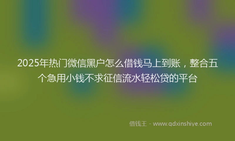 2025年热门微信黑户怎么借钱马上到账，整合五个急用小钱不求征信流水轻松贷的平台