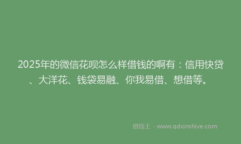 2025年的微信花呗怎么样借钱的啊有：信用快贷、大洋花、钱袋易融、你我易借、想借等。