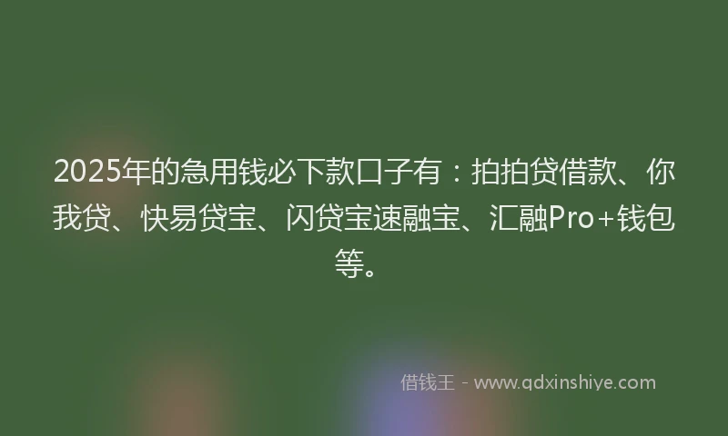 2025年的急用钱必下款口子有：拍拍贷借款、你我贷、快易贷宝、闪贷宝速融宝、汇融Pro+钱包等。