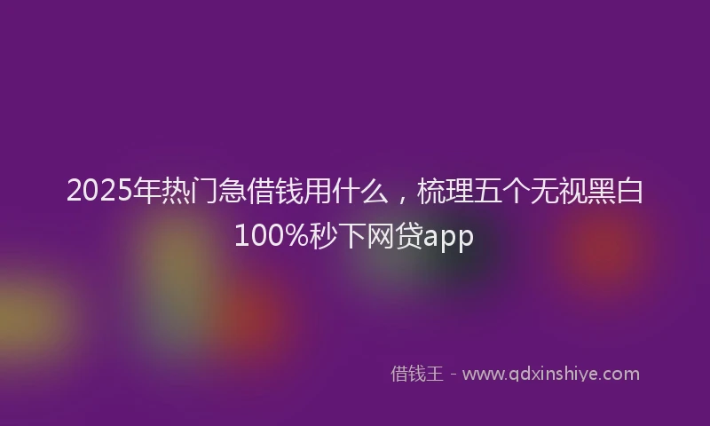 2025年热门急借钱用什么，梳理五个无视黑白100%秒下网贷app