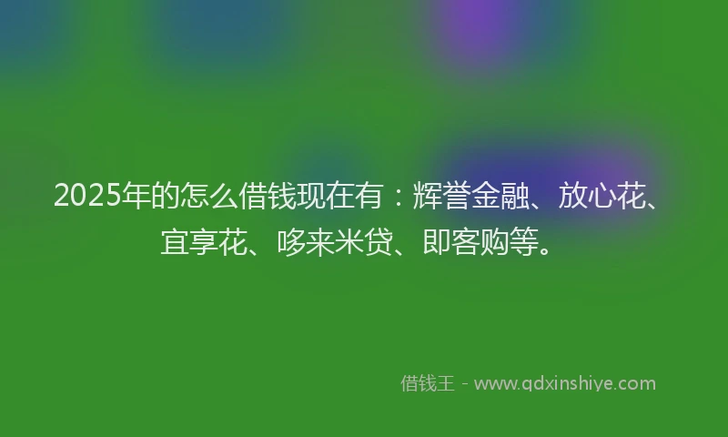 2025年的怎么借钱现在有：辉誉金融、放心花、宜享花、哆来米贷、即客购等。