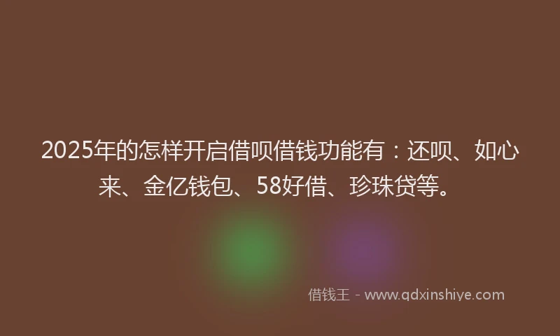 2025年的怎样开启借呗借钱功能有：还呗、如心来、金亿钱包、58好借、珍珠贷等。