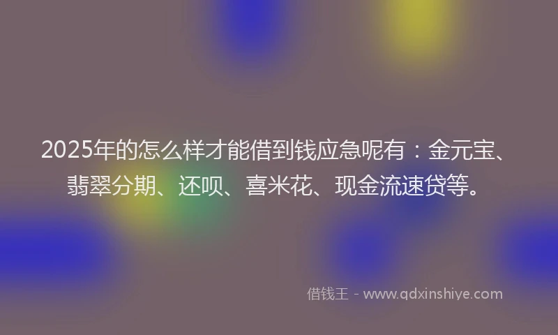 2025年的怎么样才能借到钱应急呢有：金元宝、翡翠分期、还呗、喜米花、现金流速贷等。