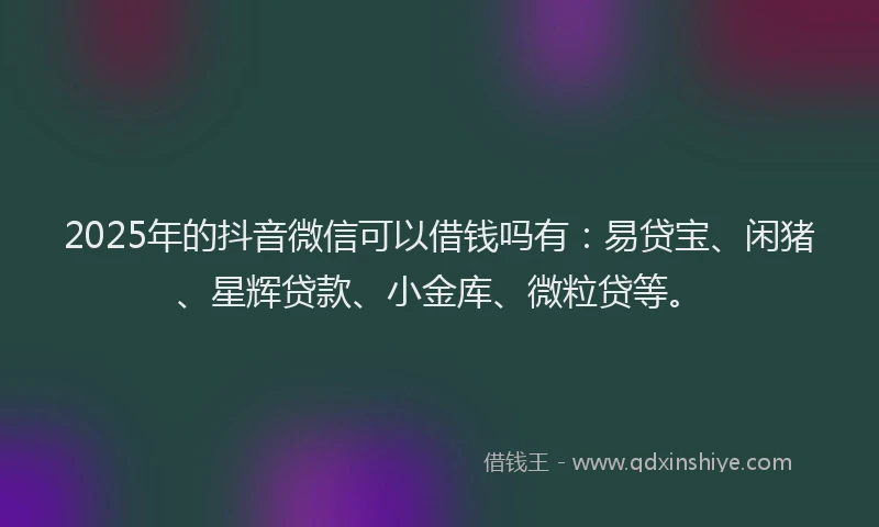 2025年的抖音微信可以借钱吗有：易贷宝、闲猪、星辉贷款、小金库、微粒贷等。
