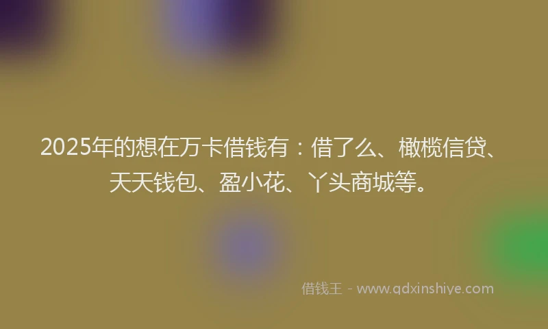 2025年的想在万卡借钱有：借了么、橄榄信贷、天天钱包、盈小花、丫头商城等。