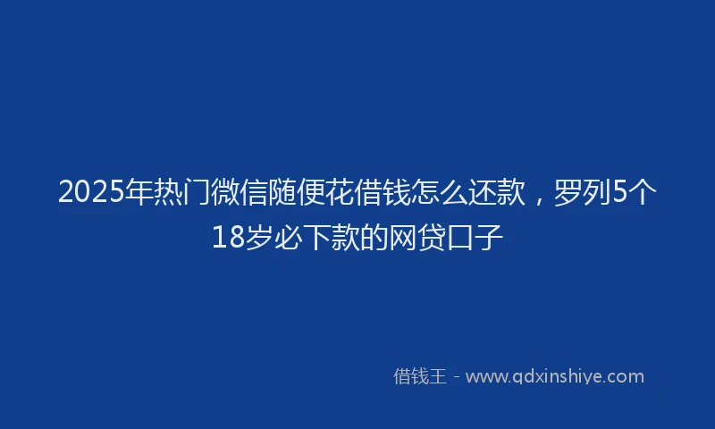 2025年热门微信随便花借钱怎么还款，罗列5个18岁必下款的网贷口子