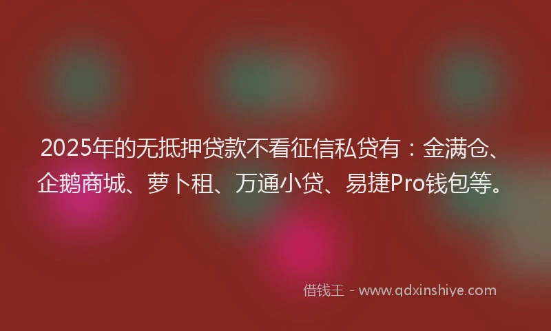 2025年的无抵押贷款不看征信私贷有：金满仓、企鹅商城、萝卜租、万通小贷、易捷Pro钱包等。